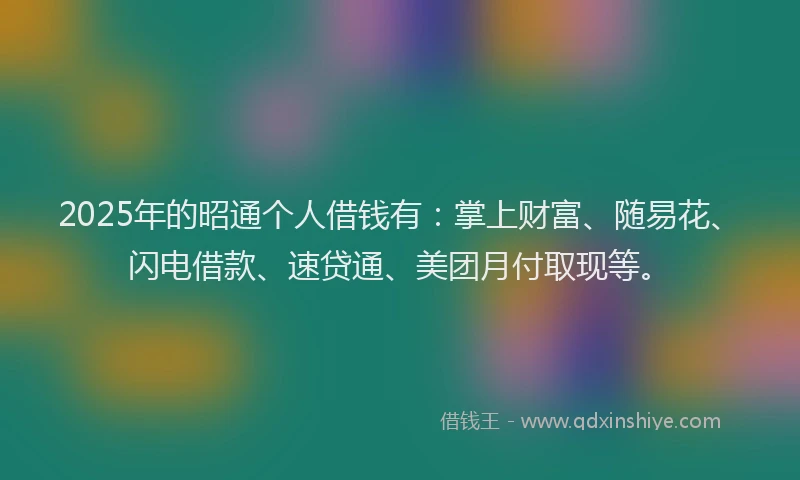 2025年的昭通个人借钱有：掌上财富、随易花、闪电借款、速贷通、美团月付取现等。
