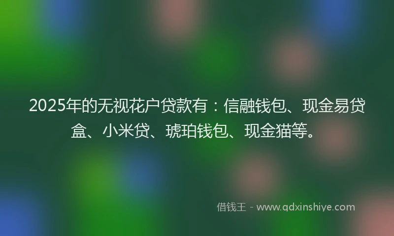 2025年的无视花户贷款有：信融钱包、现金易贷盒、小米贷、琥珀钱包、现金猫等。