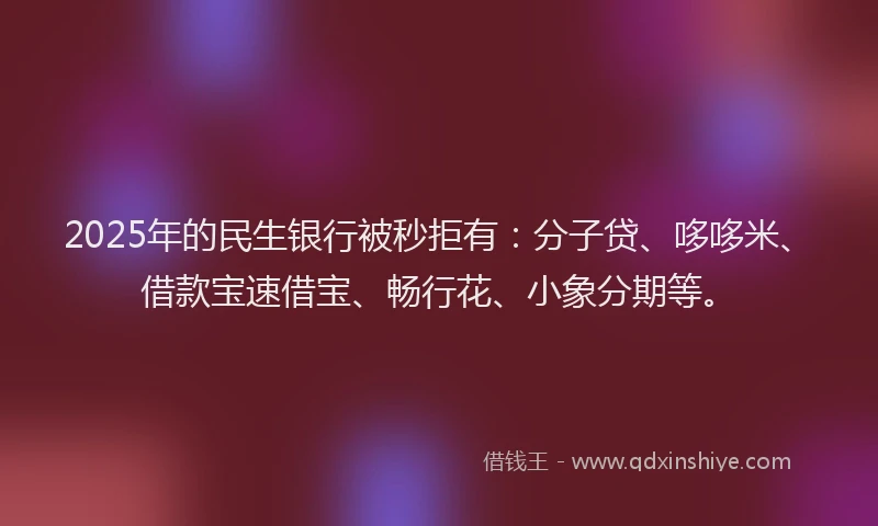 2025年的民生银行被秒拒有：分子贷、哆哆米、借款宝速借宝、畅行花、小象分期等。