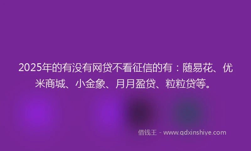 2025年的有没有网贷不看征信的有：随易花、优米商城、小金象、月月盈贷、粒粒贷等。