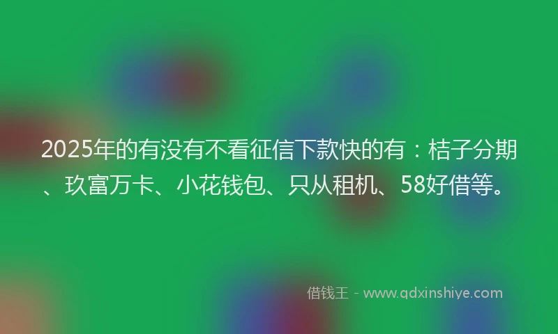 2025年的有没有不看征信下款快的有：桔子分期、玖富万卡、小花钱包、只从租机、58好借等。
