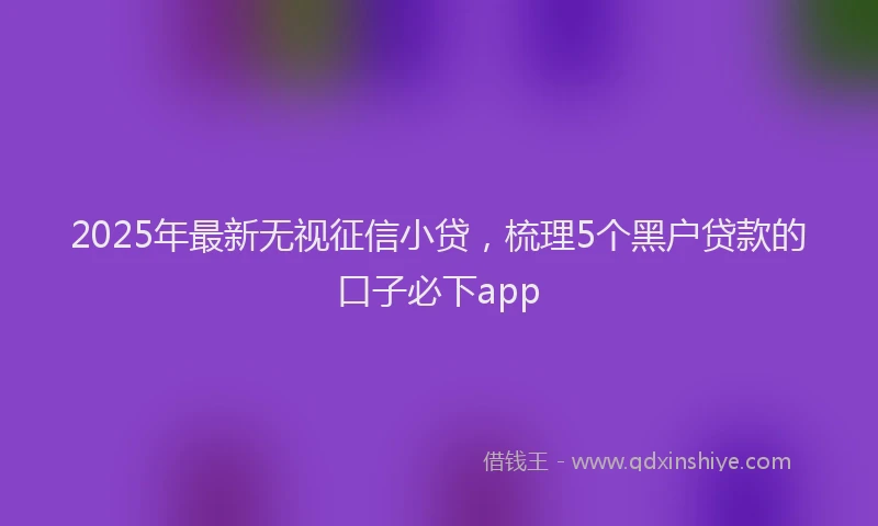 2025年最新无视征信小贷，梳理5个黑户贷款的口子必下app