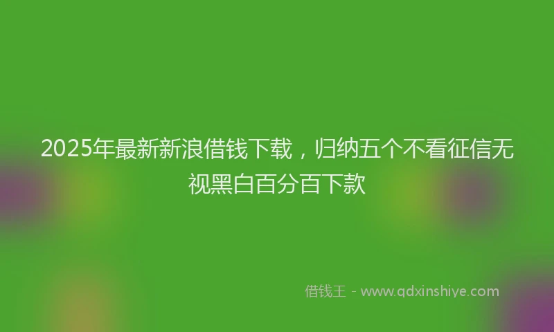 2025年最新新浪借钱下载，归纳五个不看征信无视黑白百分百下款