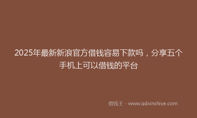 2025年最新新浪官方借钱容易下款吗，分享五个手机上可以借钱的平台
