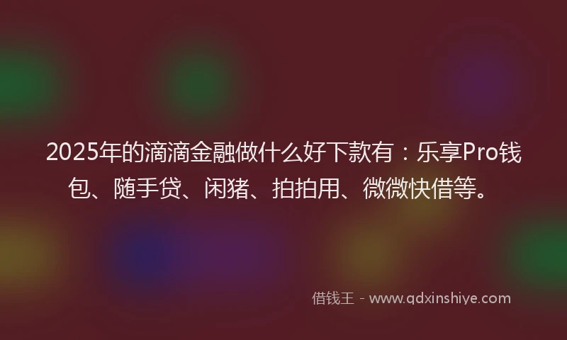 2025年的滴滴金融做什么好下款有：乐享Pro钱包、随手贷、闲猪、拍拍用、微微快借等。