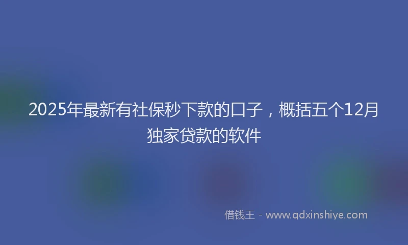 2025年最新有社保秒下款的口子，概括五个12月独家贷款的软件