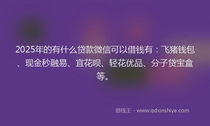 2025年的有什么贷款微信可以借钱有：飞猪钱包、现金秒融易、宜花呗、轻花优品、分子贷宝盒等。