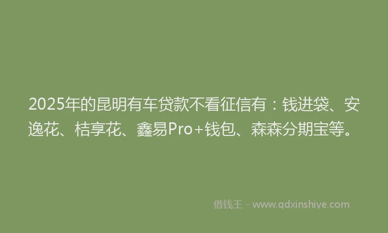 2025年的昆明有车贷款不看征信有：钱进袋、安逸花、桔享花、鑫易Pro+钱包、森森分期宝等。