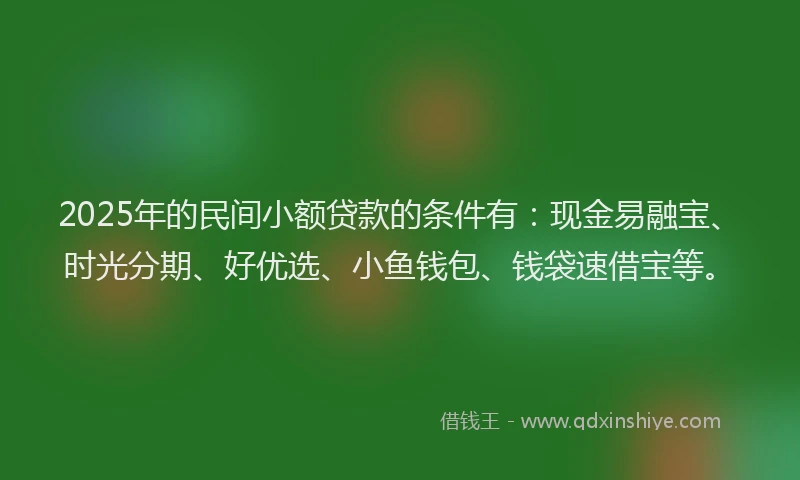 2025年的民间小额贷款的条件有：现金易融宝、时光分期、好优选、小鱼钱包、钱袋速借宝等。