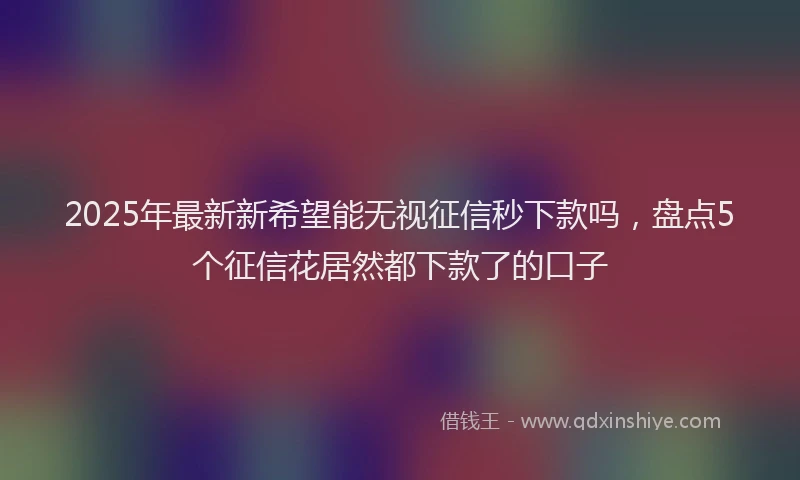 2025年最新新希望能无视征信秒下款吗，盘点5个征信花居然都下款了的口子