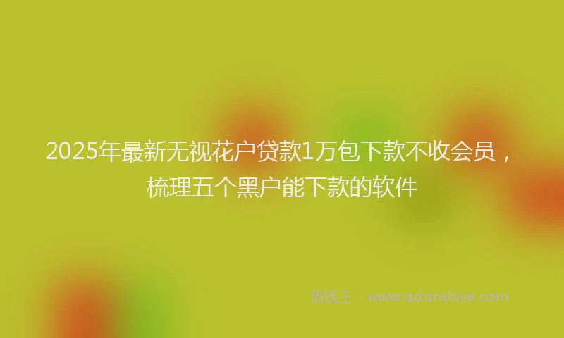 2025年最新无视花户贷款1万包下款不收会员，梳理五个黑户能下款的软件