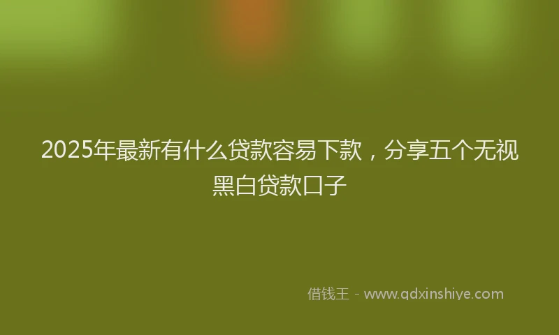 2025年最新有什么贷款容易下款，分享五个无视黑白贷款口子