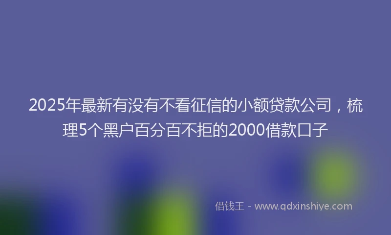 2025年最新有没有不看征信的小额贷款公司，梳理5个黑户百分百不拒的2000借款口子