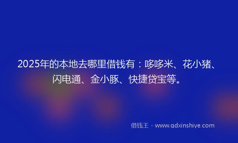 2025年的本地去哪里借钱有：哆哆米、花小猪、闪电通、金小豚、快捷贷宝等。