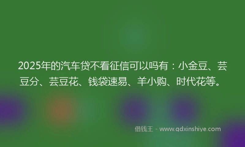 2025年的汽车贷不看征信可以吗有：小金豆、芸豆分、芸豆花、钱袋速易、羊小购、时代花等。