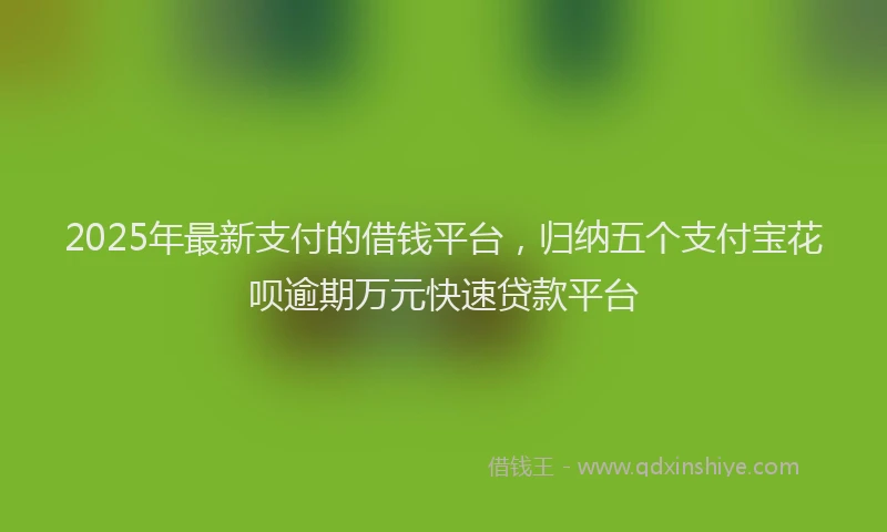 2025年最新支付的借钱平台，归纳五个支付宝花呗逾期万元快速贷款平台
