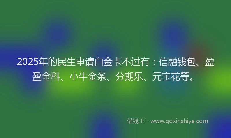 2025年的民生申请白金卡不过有：信融钱包、盈盈金科、小牛金条、分期乐、元宝花等。