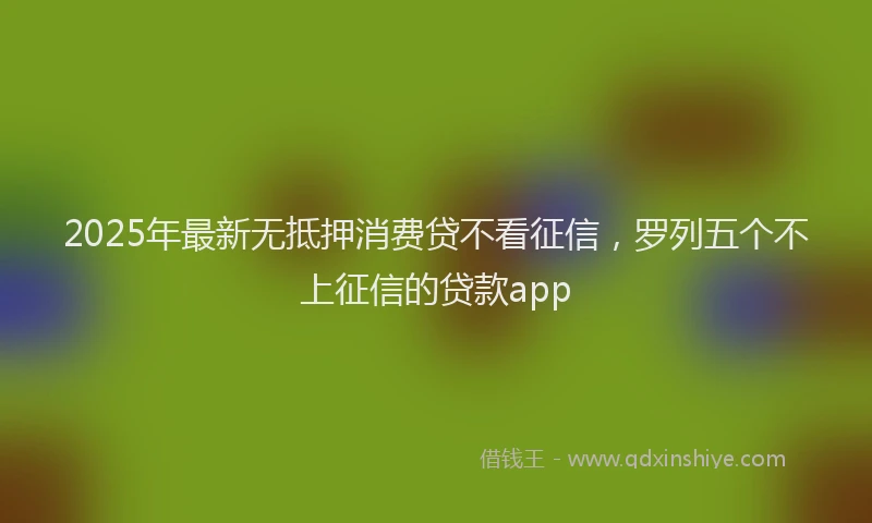 2025年最新无抵押消费贷不看征信，罗列五个不上征信的贷款app