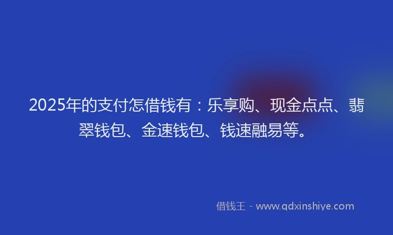 2025年的支付怎借钱有：乐享购、现金点点、翡翠钱包、金速钱包、钱速融易等。