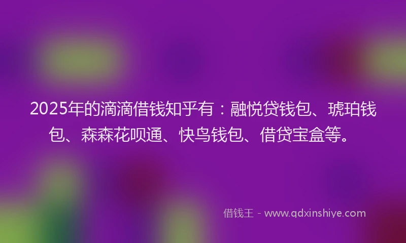 2025年的滴滴借钱知乎有：融悦贷钱包、琥珀钱包、森森花呗通、快鸟钱包、借贷宝盒等。