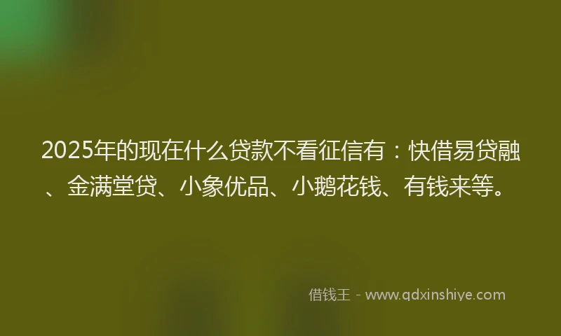 2025年的现在什么贷款不看征信有：快借易贷融、金满堂贷、小象优品、小鹅花钱、有钱来等。