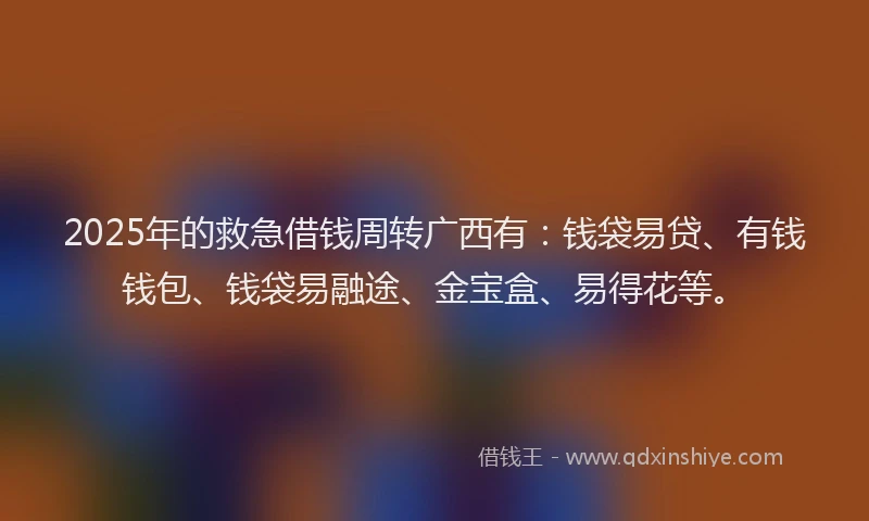 2025年的救急借钱周转广西有：钱袋易贷、有钱钱包、钱袋易融途、金宝盒、易得花等。