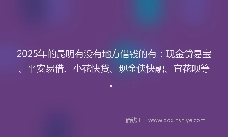 2025年的昆明有没有地方借钱的有：现金贷易宝、平安易借、小花快贷、现金侠快融、宜花呗等。