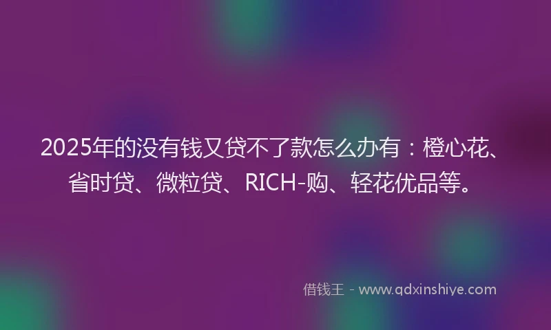 2025年的没有钱又贷不了款怎么办有：橙心花、省时贷、微粒贷、RICH-购、轻花优品等。