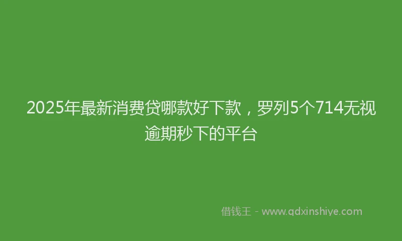 2025年最新消费贷哪款好下款，罗列5个714无视逾期秒下的平台