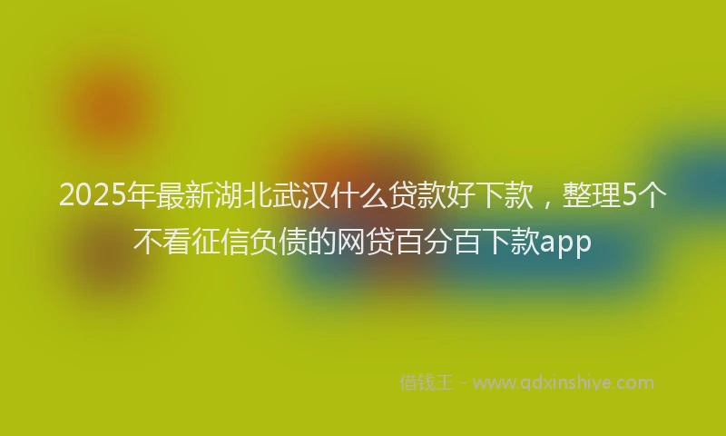 2025年最新湖北武汉什么贷款好下款，整理5个不看征信负债的网贷百分百下款app