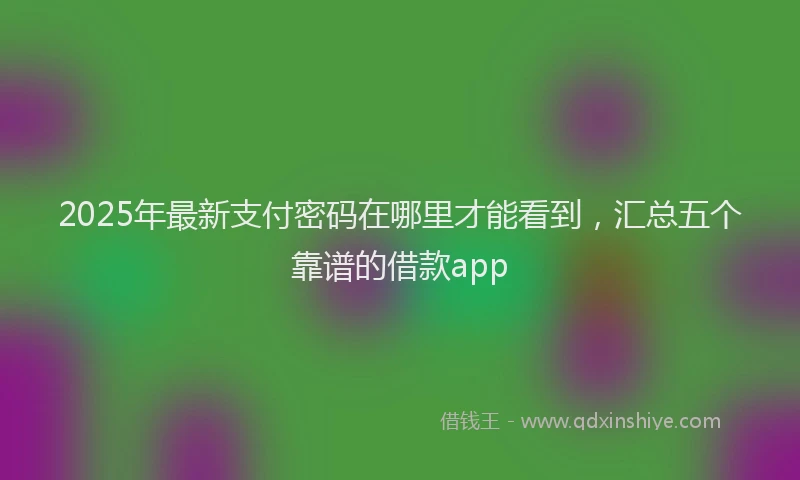 2025年最新支付密码在哪里才能看到，汇总五个靠谱的借款app