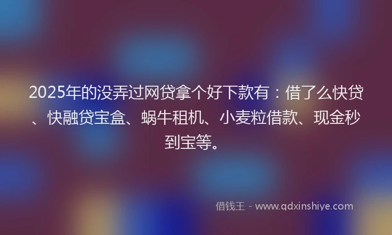 2025年的没弄过网贷拿个好下款有：借了么快贷、快融贷宝盒、蜗牛租机、小麦粒借款、现金秒到宝等。