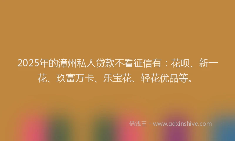 2025年的漳州私人贷款不看征信有：花呗、新一花、玖富万卡、乐宝花、轻花优品等。