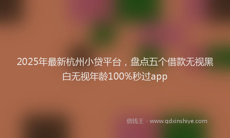 2025年最新杭州小贷平台，盘点五个借款无视黑白无视年龄100%秒过app