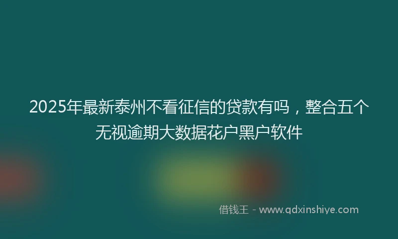 2025年最新泰州不看征信的贷款有吗，整合五个无视逾期大数据花户黑户软件
