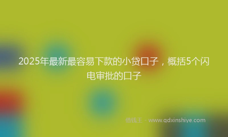 2025年最新最容易下款的小贷口子，概括5个闪电审批的口子