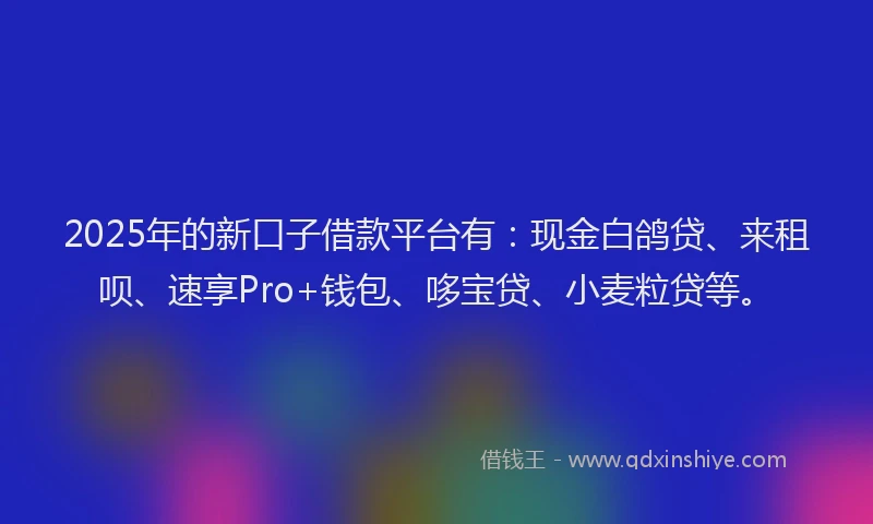 2025年的新口子借款平台有：现金白鸽贷、来租呗、速享Pro+钱包、哆宝贷、小麦粒贷等。