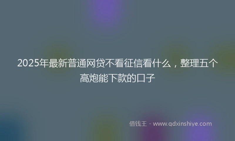 2025年最新普通网贷不看征信看什么，整理五个高炮能下款的口子