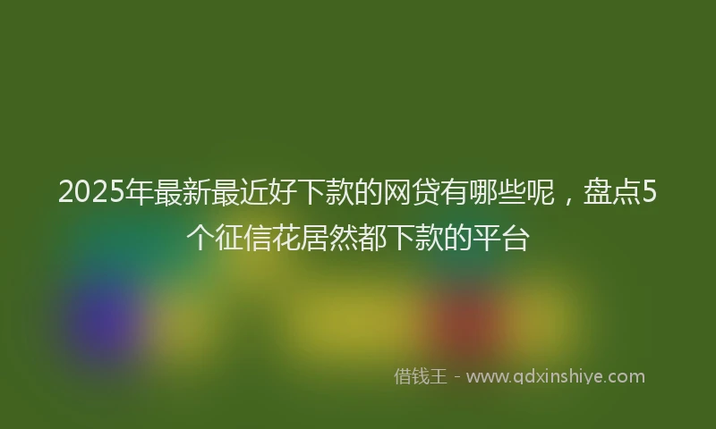 2025年最新最近好下款的网贷有哪些呢，盘点5个征信花居然都下款的平台