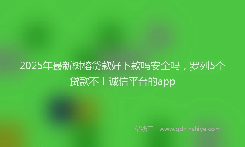 2025年最新树榕贷款好下款吗安全吗，罗列5个贷款不上诚信平台的app