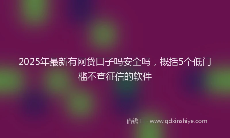 2025年最新有网贷口子吗安全吗，概括5个低门槛不查征信的软件