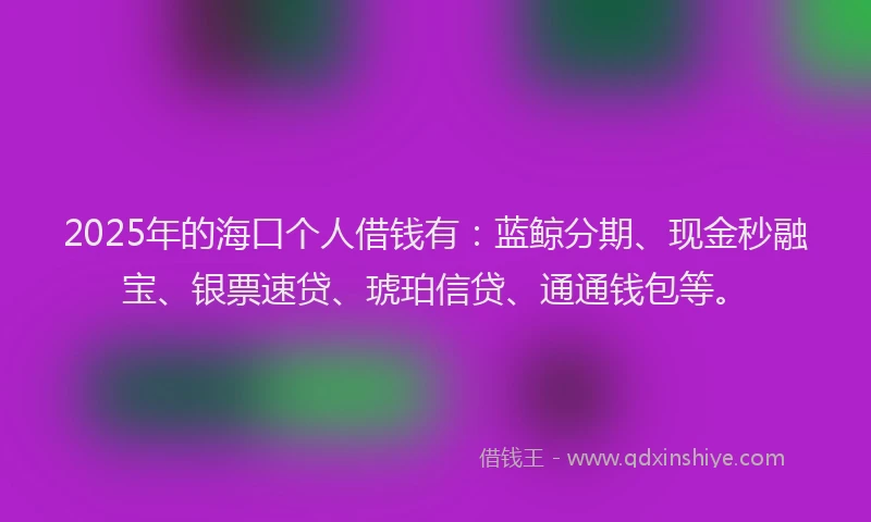 2025年的海口个人借钱有：蓝鲸分期、现金秒融宝、银票速贷、琥珀信贷、通通钱包等。