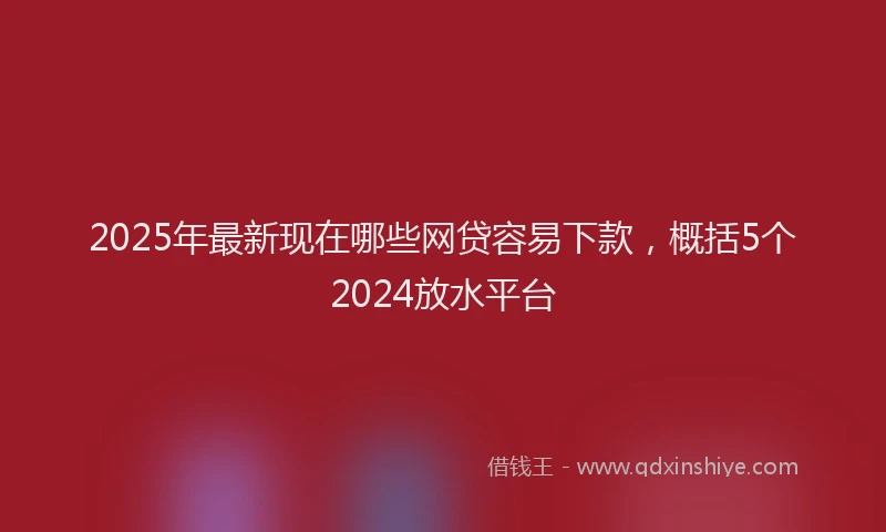 2025年最新现在哪些网贷容易下款，概括5个2024放水平台