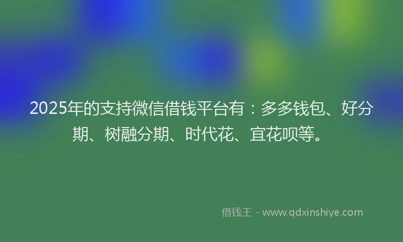 2025年的支持微信借钱平台有：多多钱包、好分期、树融分期、时代花、宜花呗等。