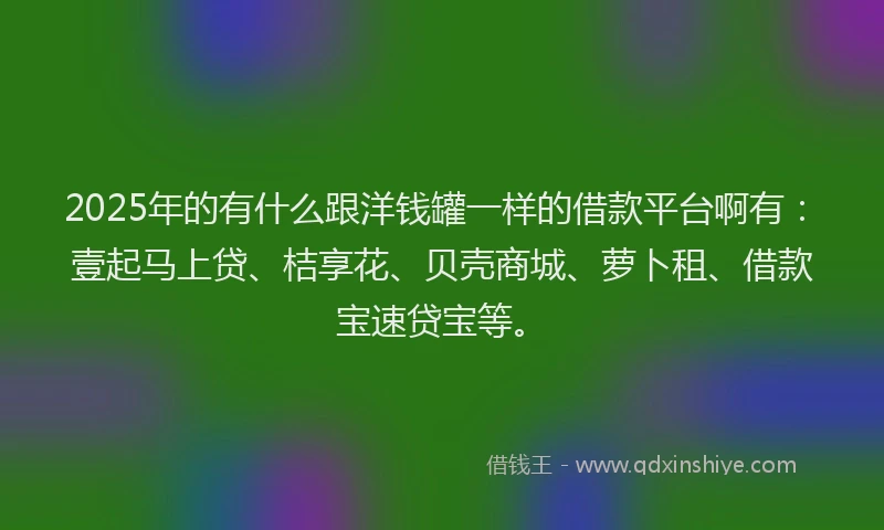 2025年的有什么跟洋钱罐一样的借款平台啊有:壹起马上贷、桔享花、贝壳商城、萝卜租、借款宝速贷宝等。