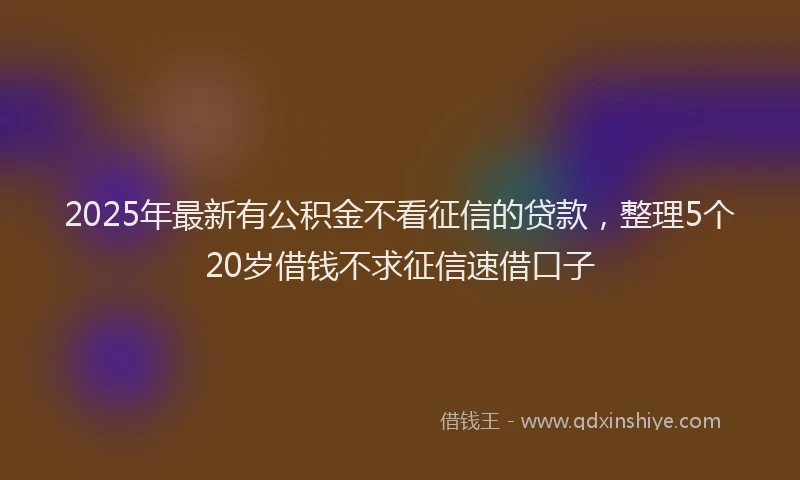 2025年最新有公积金不看征信的贷款，整理5个20岁借钱不求征信速借口子