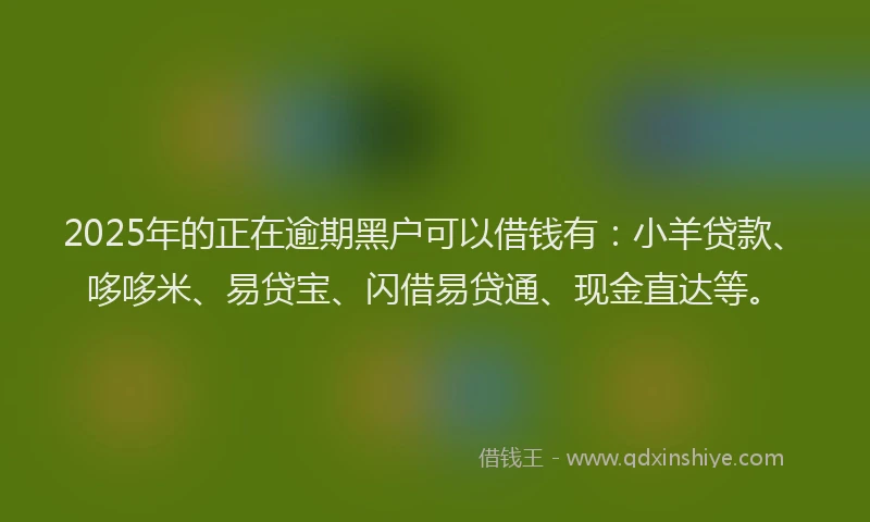 2025年的正在逾期黑户可以借钱有：小羊贷款、哆哆米、易贷宝、闪借易贷通、现金直达等。