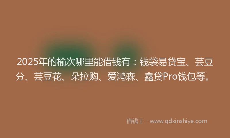 2025年的榆次哪里能借钱有：钱袋易贷宝、芸豆分、芸豆花、朵拉购、爱鸿森、鑫贷Pro钱包等。