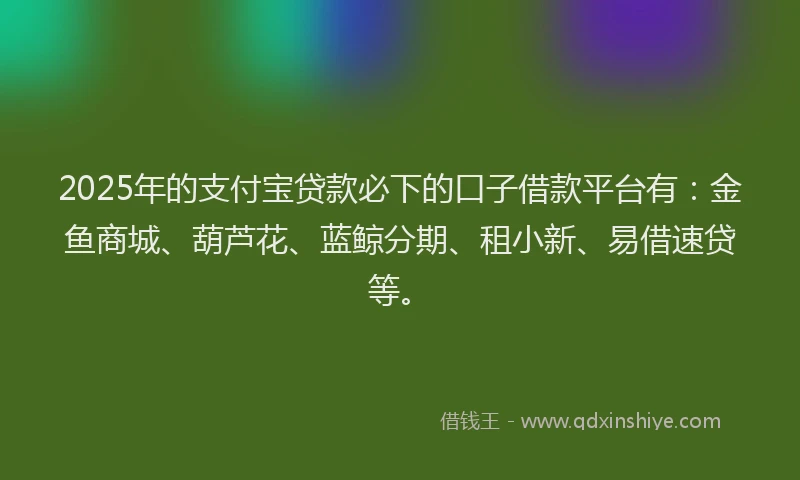2025年的支付宝贷款必下的口子借款平台有：金鱼商城、葫芦花、蓝鲸分期、租小新、易借速贷等。