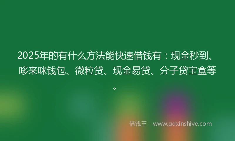 2025年的有什么方法能快速借钱有：现金秒到、哆来咪钱包、微粒贷、现金易贷、分子贷宝盒等。